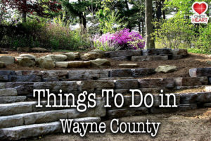 what to do in wayne county